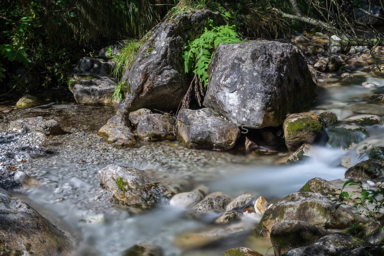 Tiny Rapids at the Val Vertova Torrent Lombardy near Bergamo in  by phil_bird