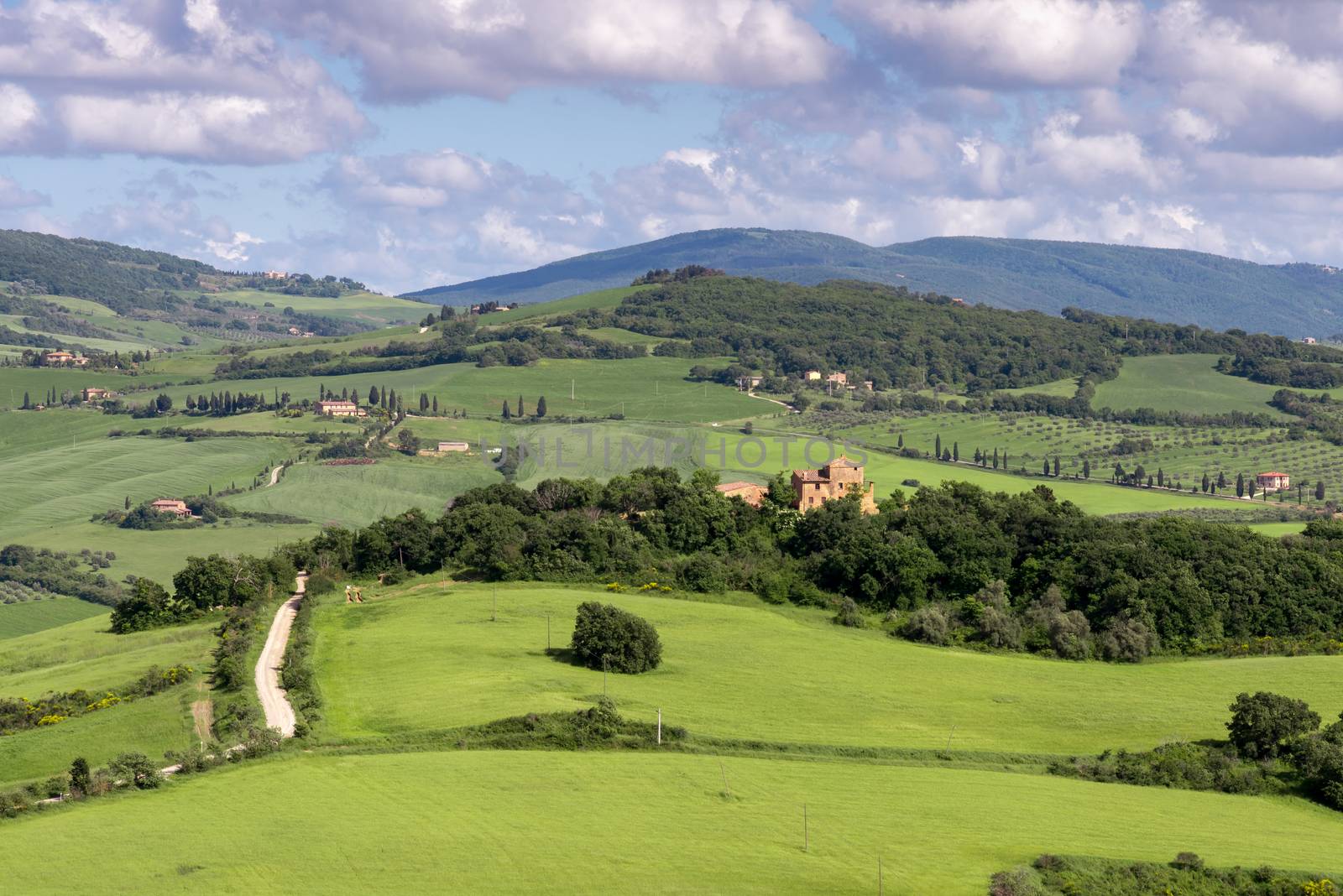 VAL D'ORCIA, TUSCANY/ITALY - MAY 17 : Farmland in Val d'Orcia Tu by phil_bird