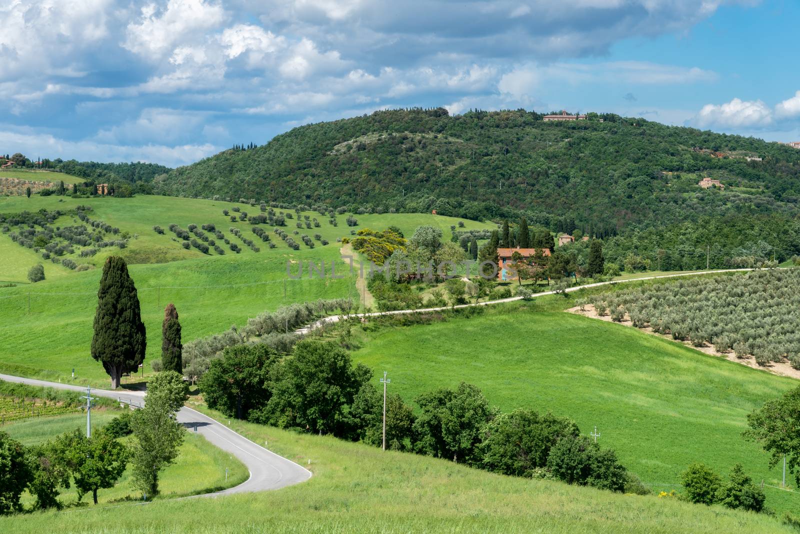 Countryside of Val d'Orcia in Tuscany