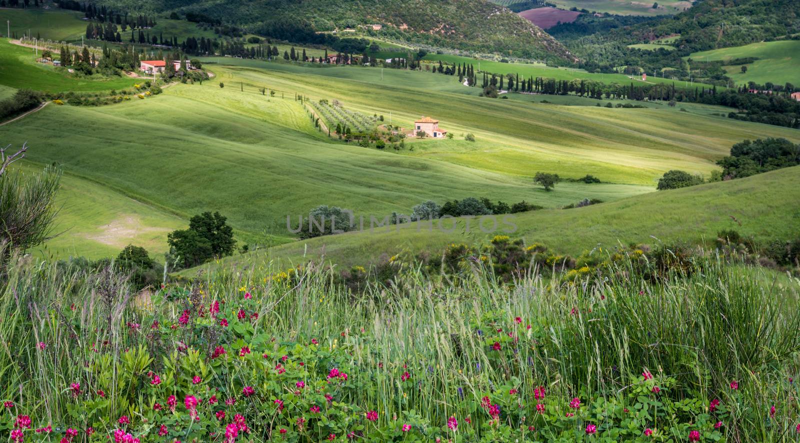 Farm in Val d'Orcia Tuscany  by phil_bird