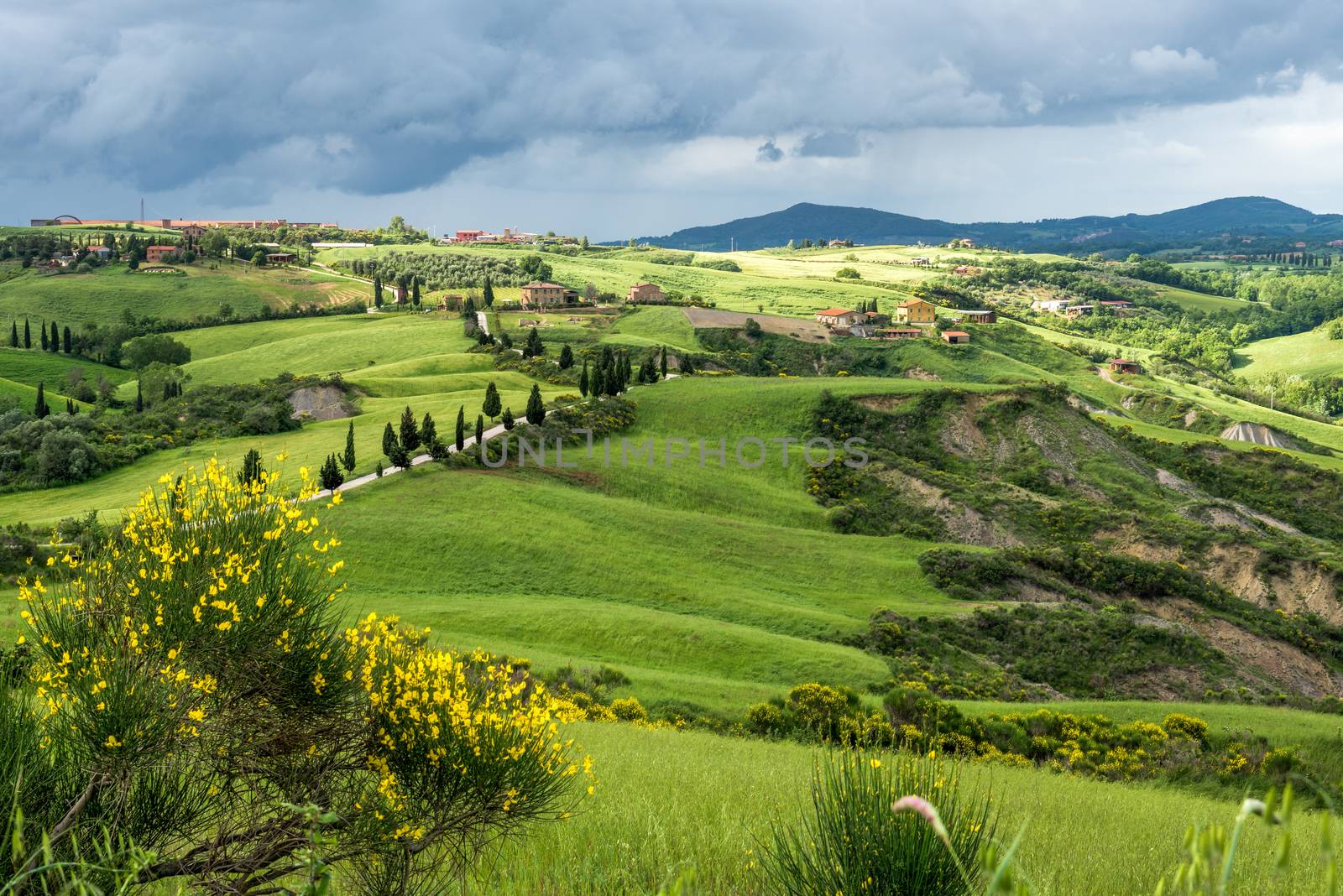 Val D'Orcia Tuscany by phil_bird