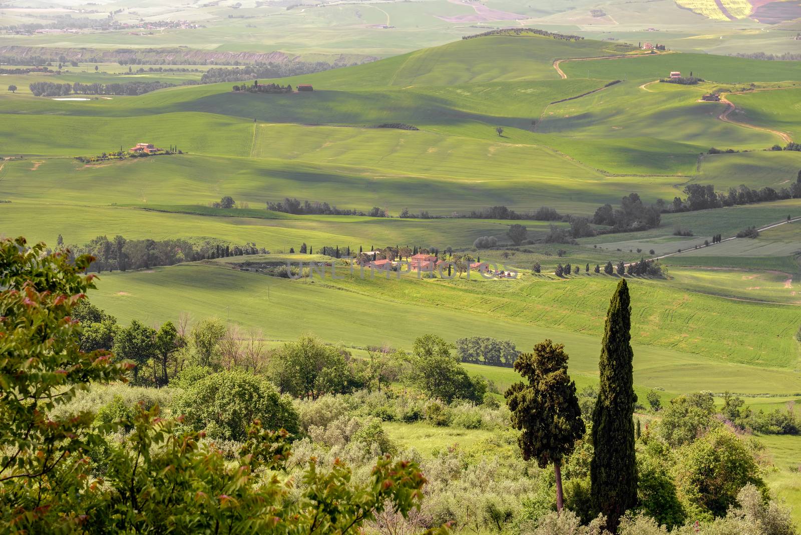 Countryside of Val d'Orcia by phil_bird