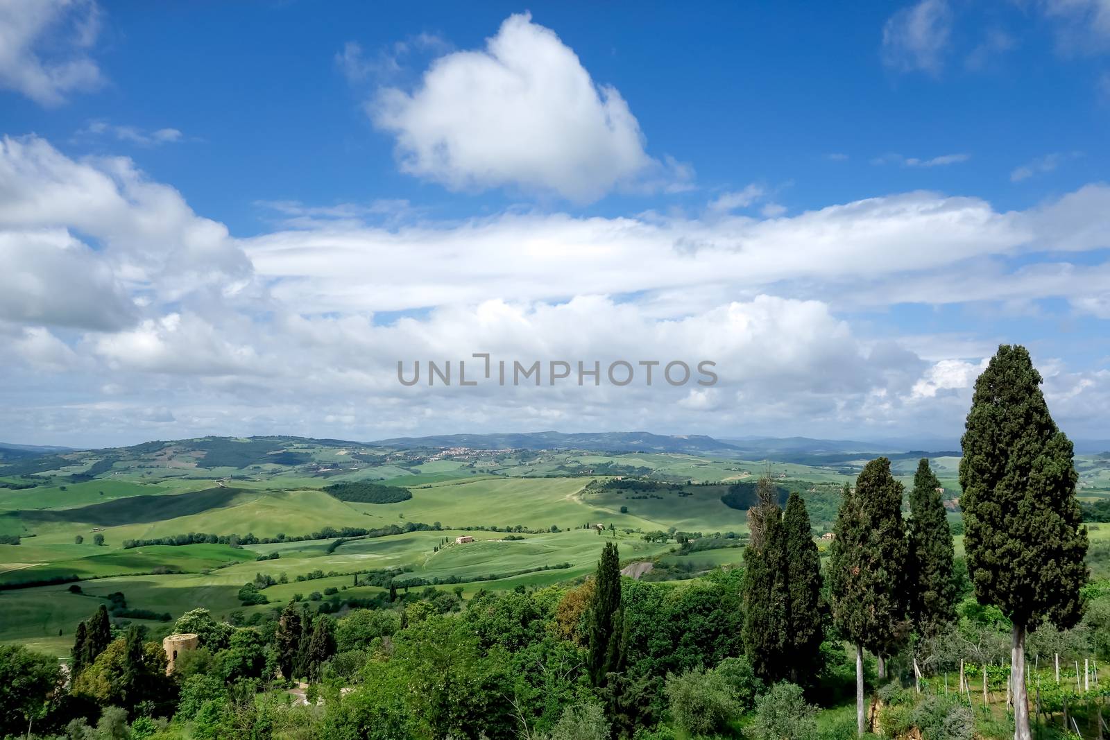 Countryside of Val d'Orcia Tuscany by phil_bird