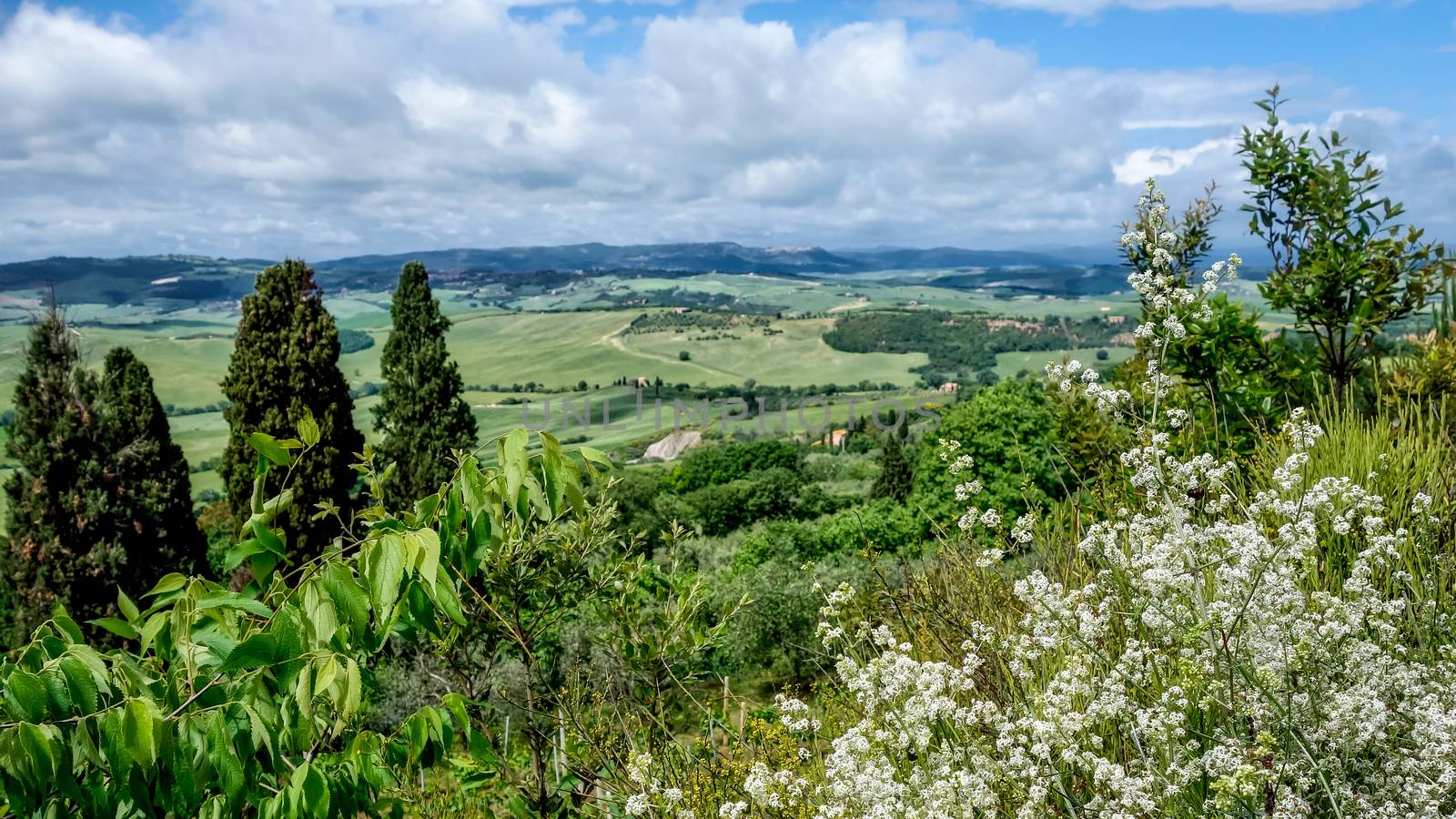 Countryside of Val d'Orcia Tuscany by phil_bird