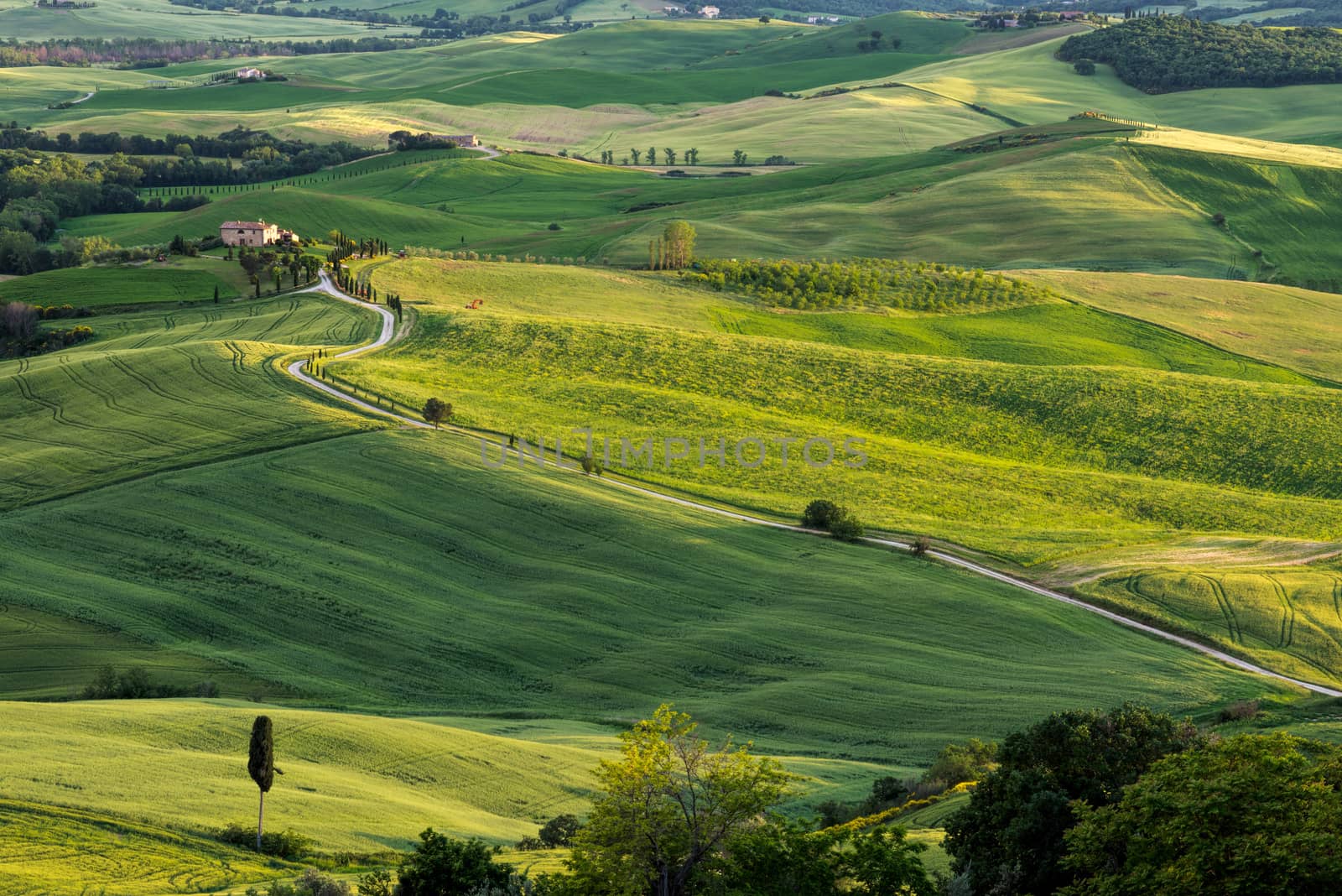 Farmland below Pienza in Tuscany by phil_bird