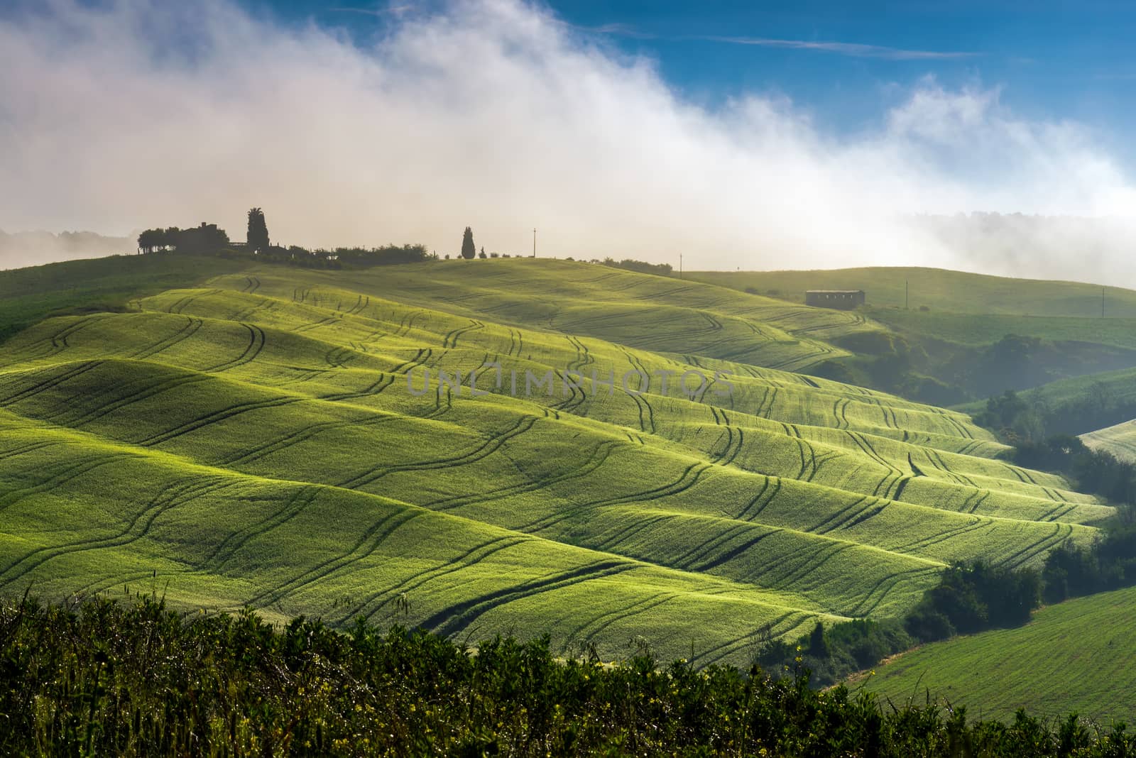 PIENZA, TUSCANY/ITALY - MAY 22 : Mist rolling through Val d'Orci by phil_bird