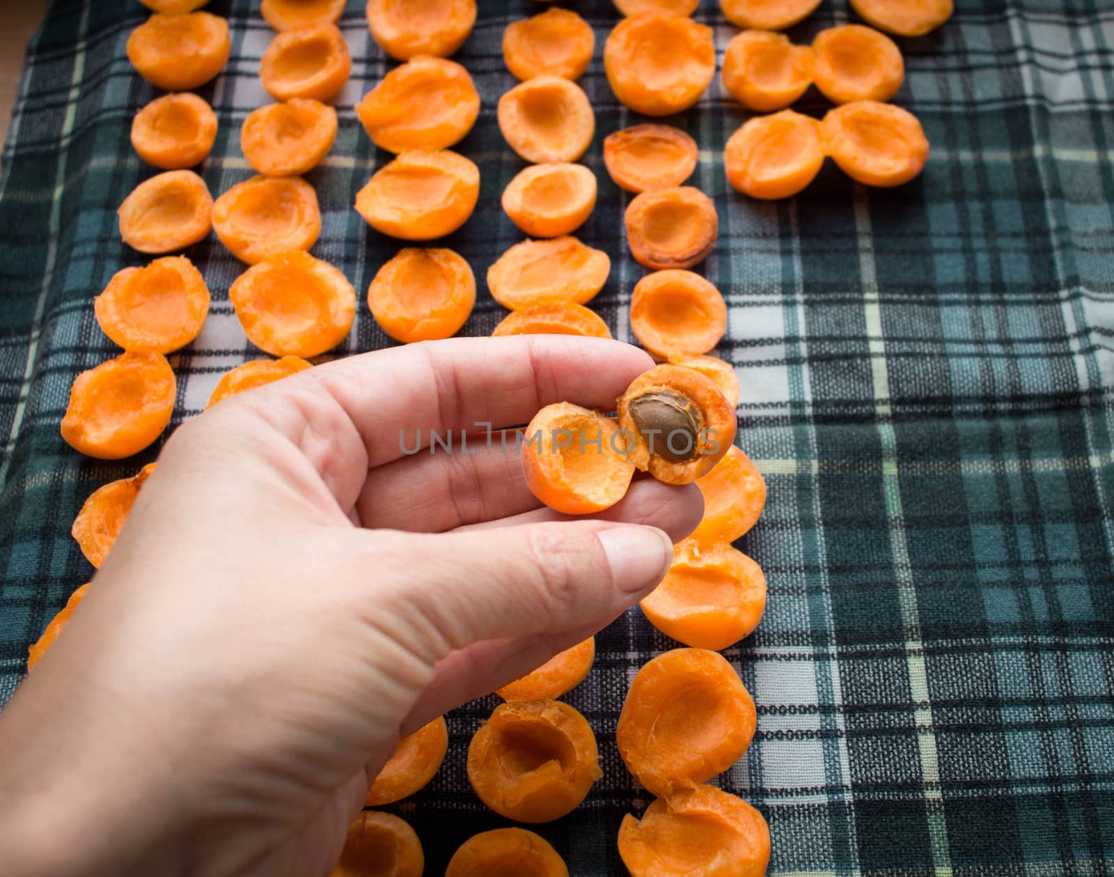 Female hand taking away pits from fresh juicy mellow apricots preparing to sun drying for conservation