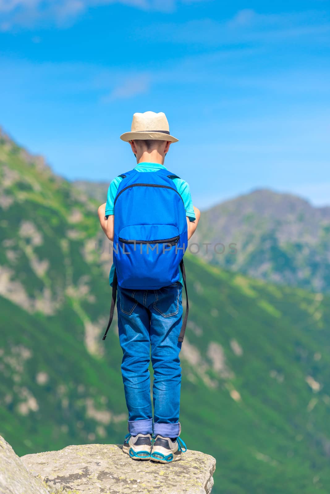 view from the back boy traveler with a backpack stands on a rock