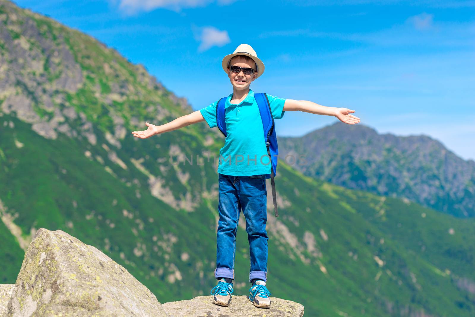 traveler boy enjoys the beauty of the mountains and freedom standing on the rock