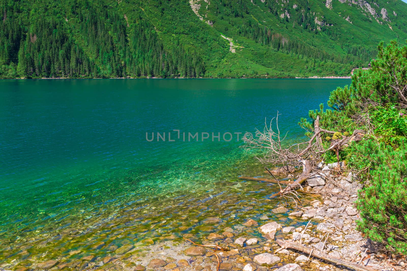 shore of the beautiful clean mountain lake Morskie Oko in the Tatra Mountains, Poland