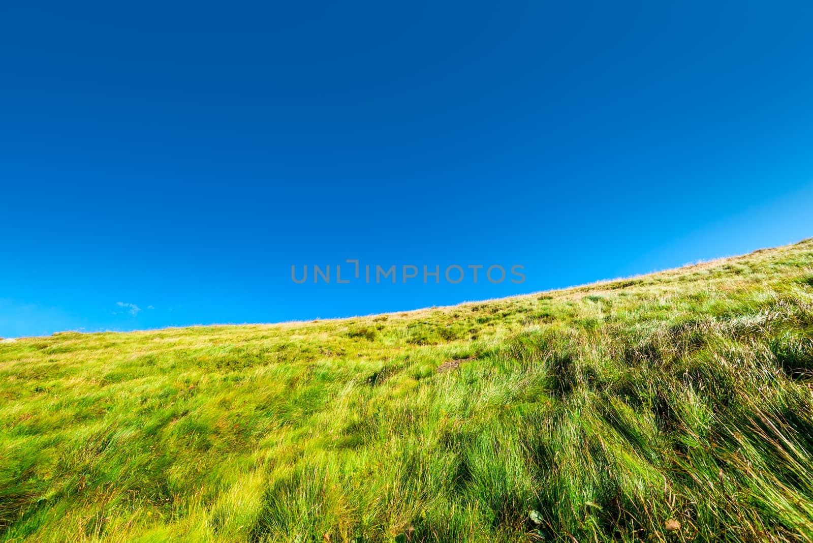 close-up of a mountainside slope covered with grass against a blue sky background