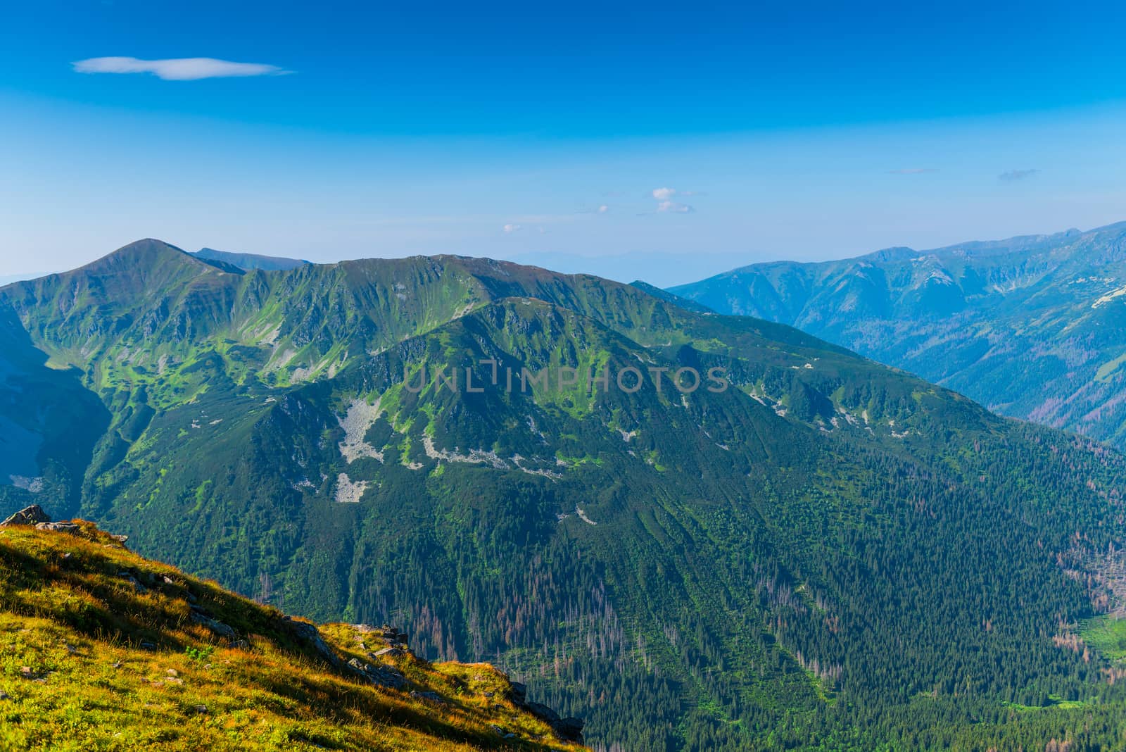 Tatra Mountains in Poland covered with dense forest on a sunny summer day