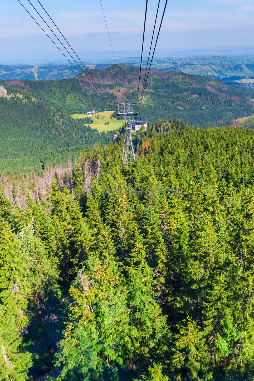 a funicular ride over a forest in the mountains, a beautiful landscape