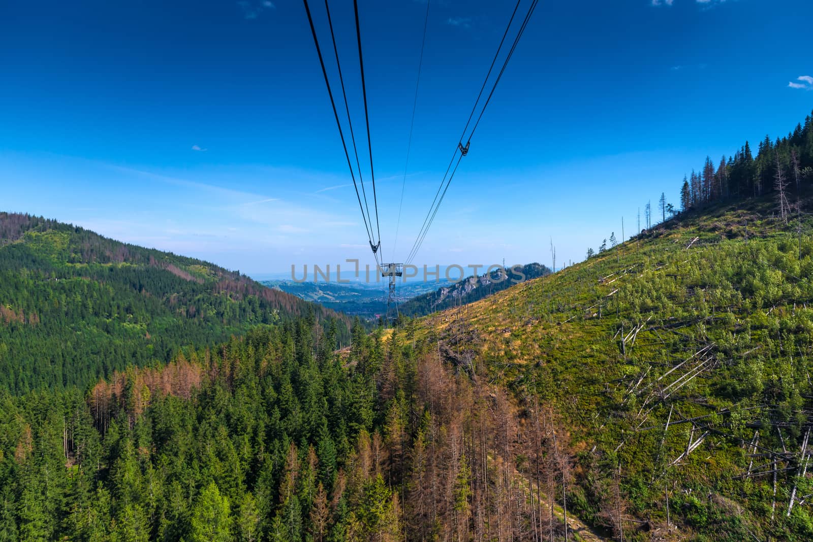 Green hills and funicular cable on a sunny summer day, Poland Zakopane