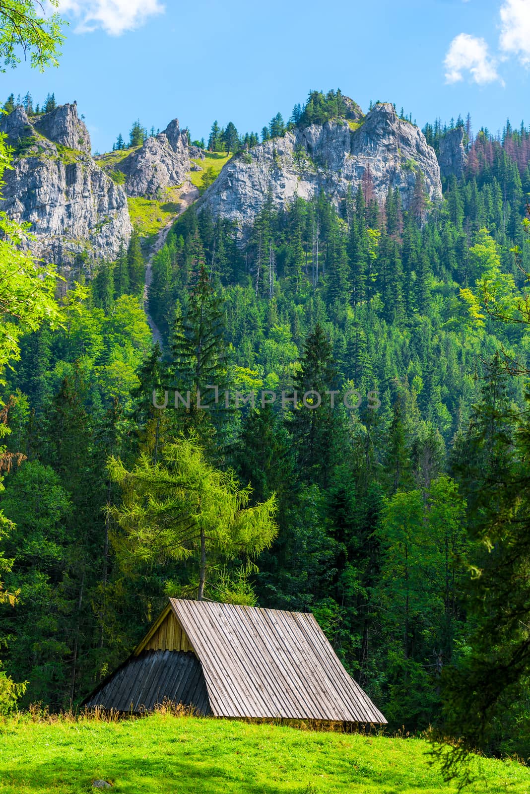 vertical landscape - beautiful high mountains and an old hut on a hill