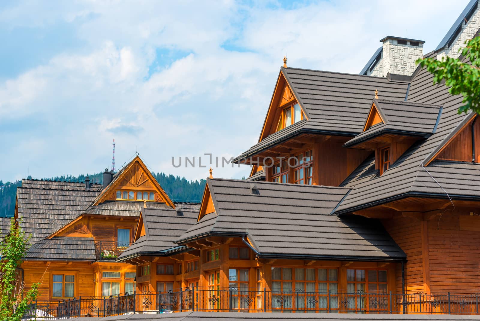 beautiful large European villa made of wood