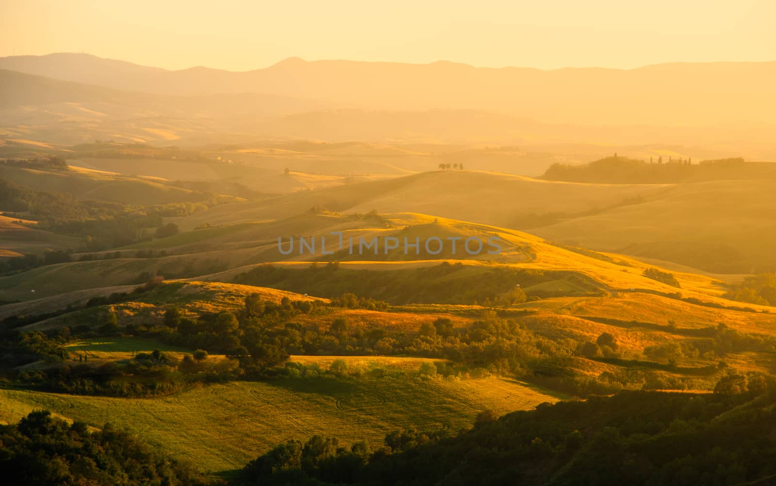 Evening in Tuscany. Hilly Tuscan landscape in golden mood at sunset time with silhouettes of cypresses and farm houses near Montaione, Italy by pyty