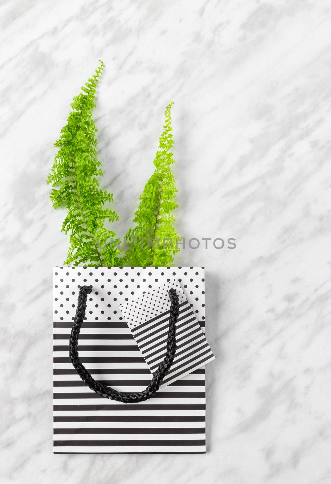 Green fern branches in a black and white striped gift bag, on marble background.