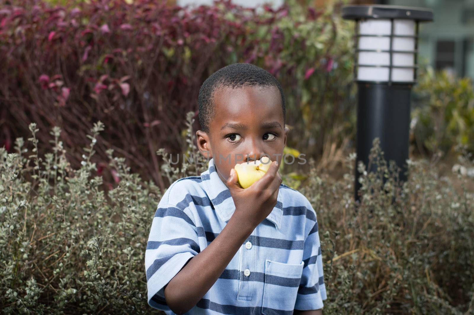 This child loves apples that is why he often eats.