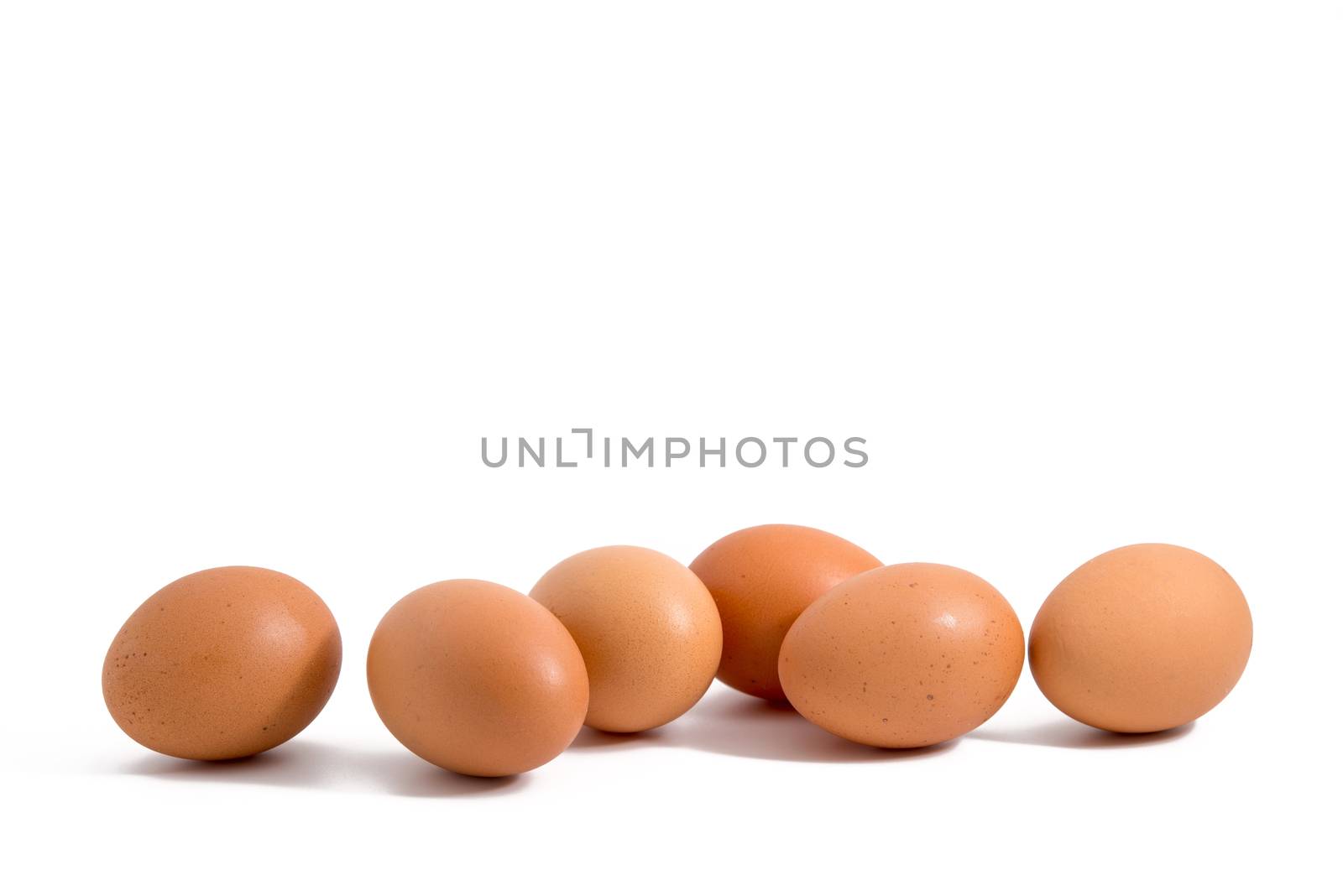 six eggs in a row on white background
