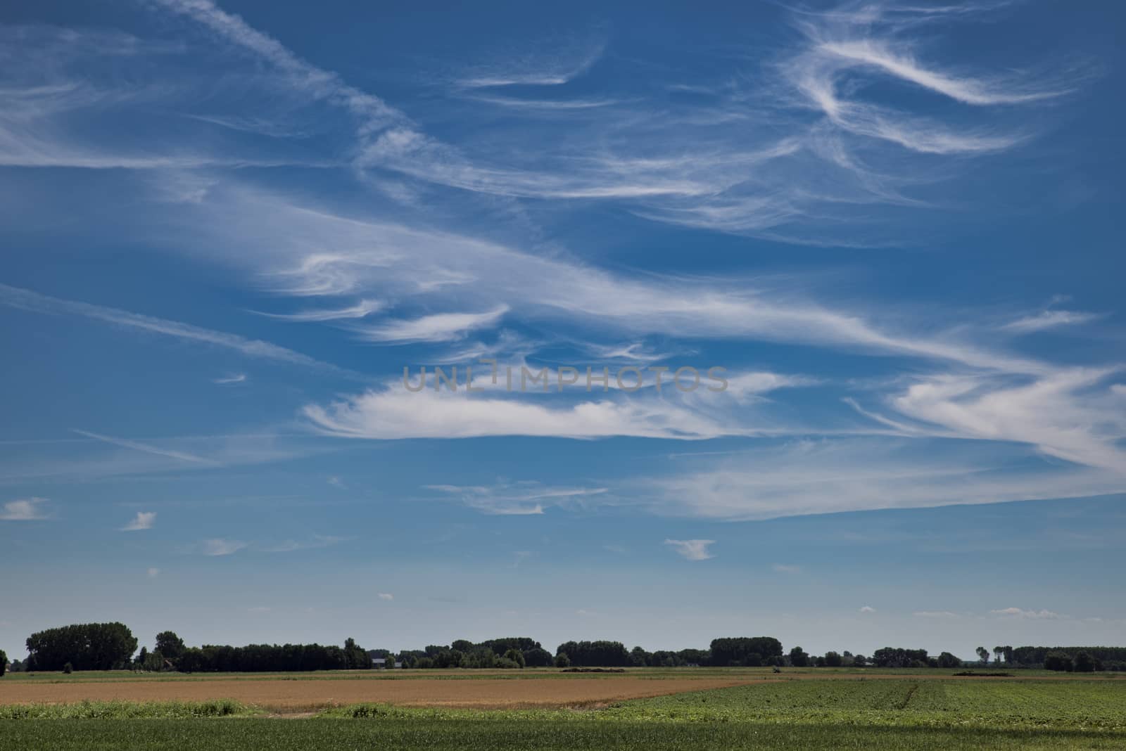 blue sky with clouds above a farm field with green gras en trees