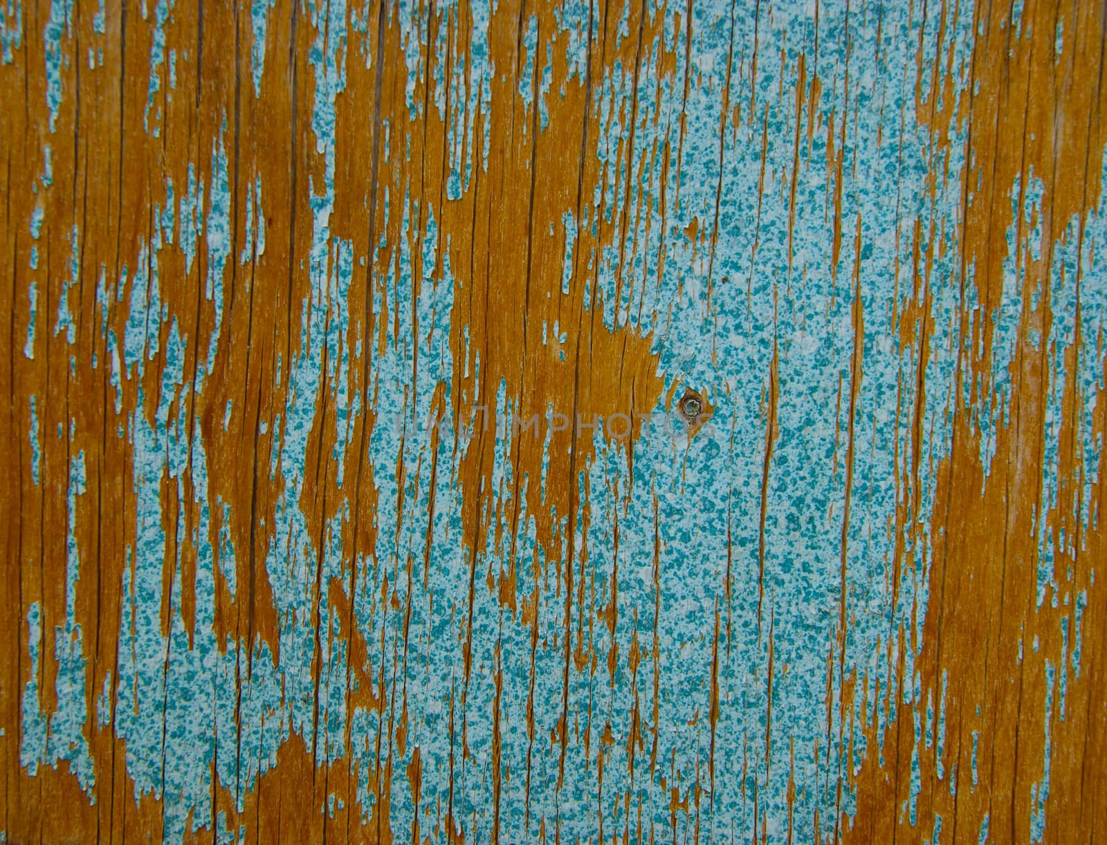 Texture old painted and mangy panel from tree