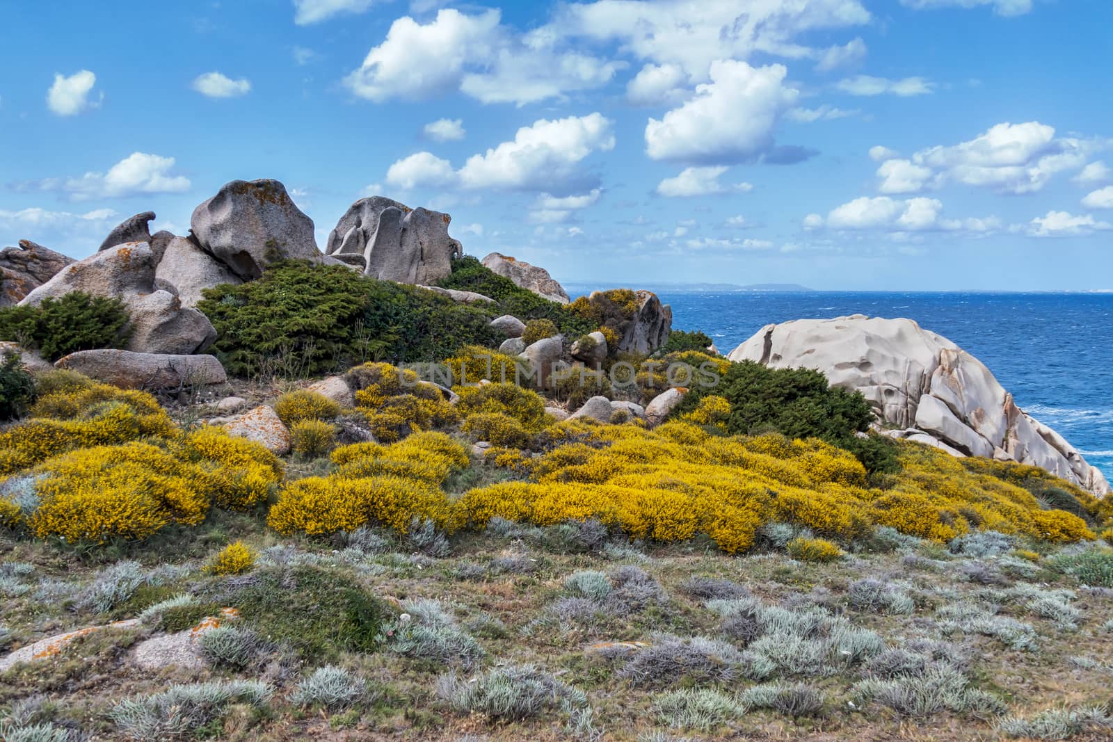 The Coastline at Capo Testa Sardinia by phil_bird