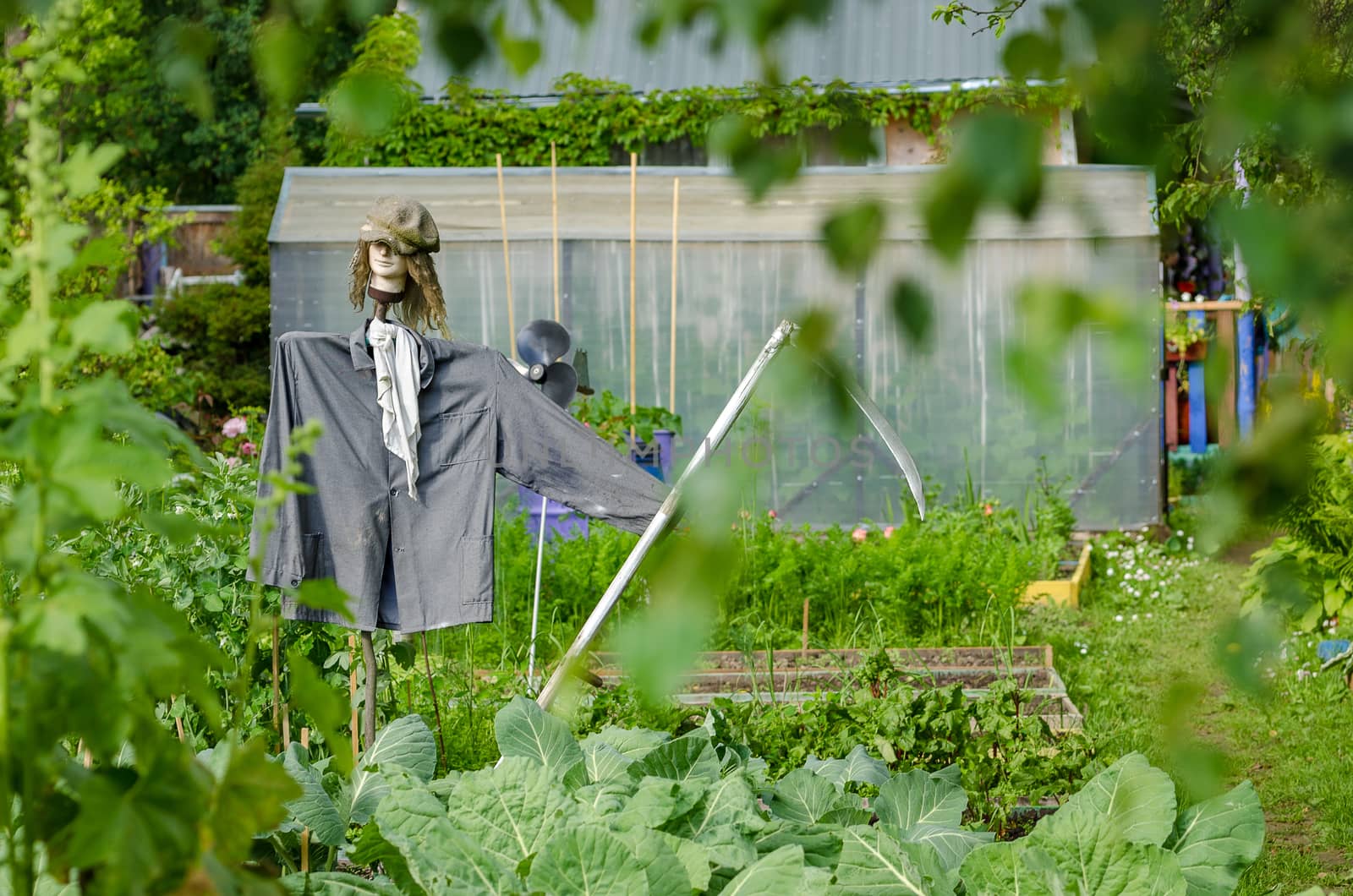 Scarecrow in the garden to protect the crop
