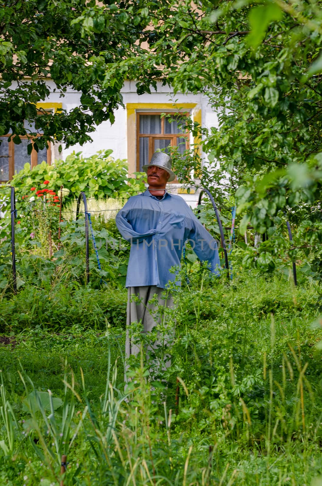 Scarecrow in the garden to protect the crop