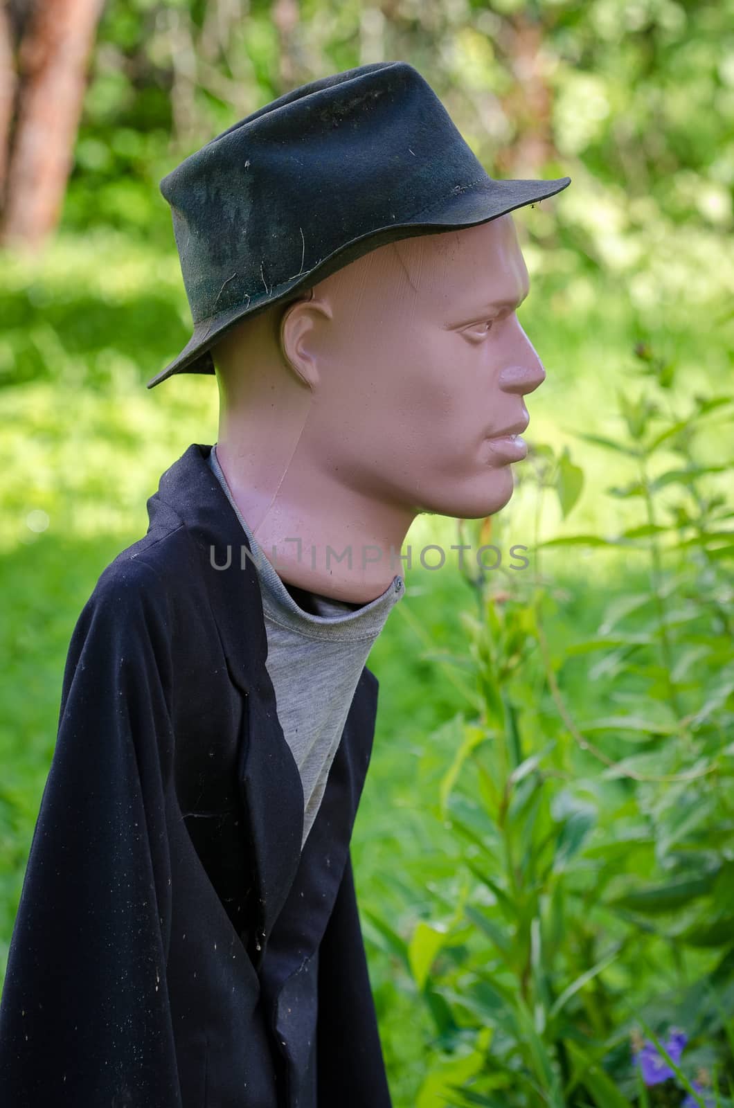 Scarecrow in the garden to protect the crop