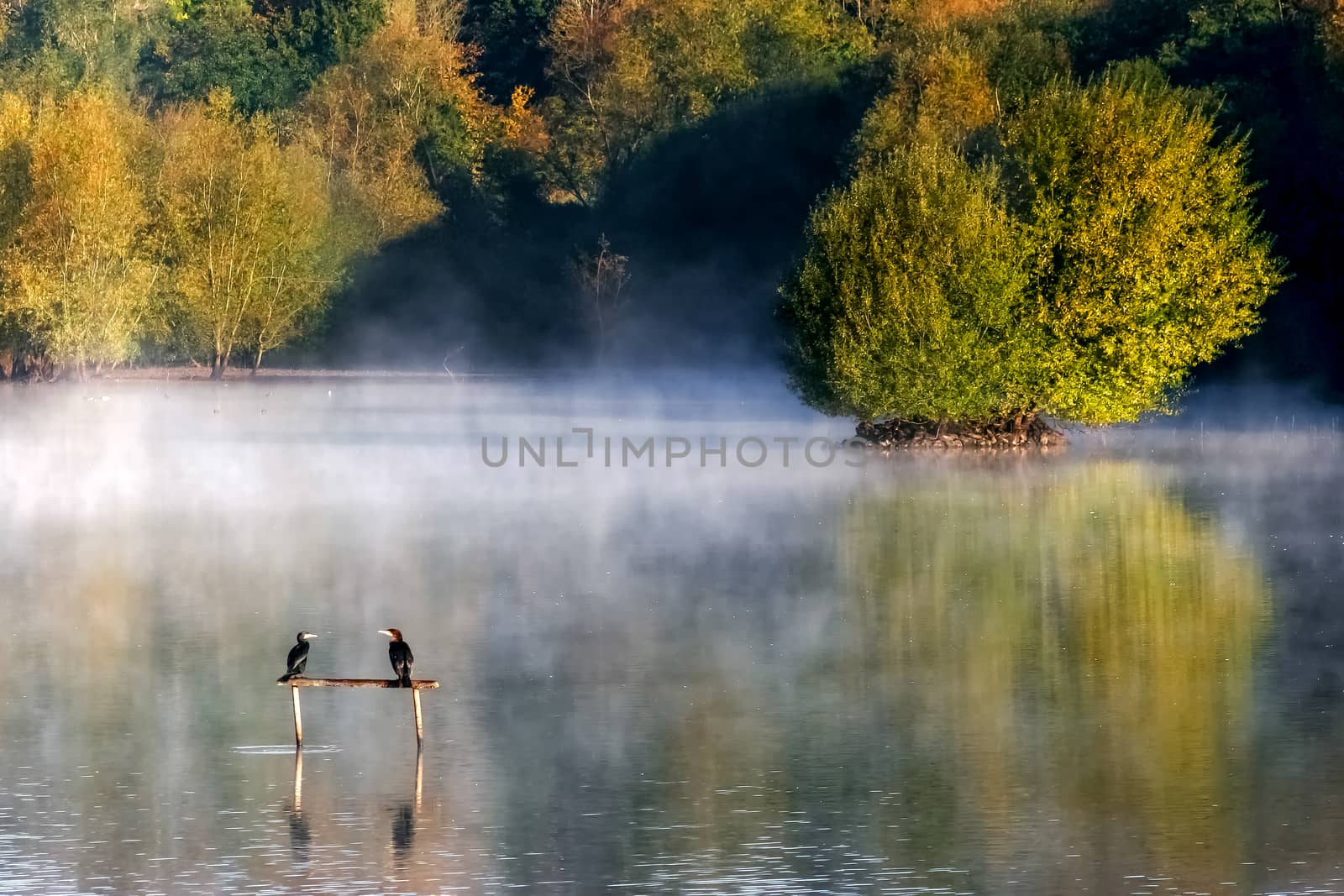 Early Morning at Weir Wood Reservoir by phil_bird