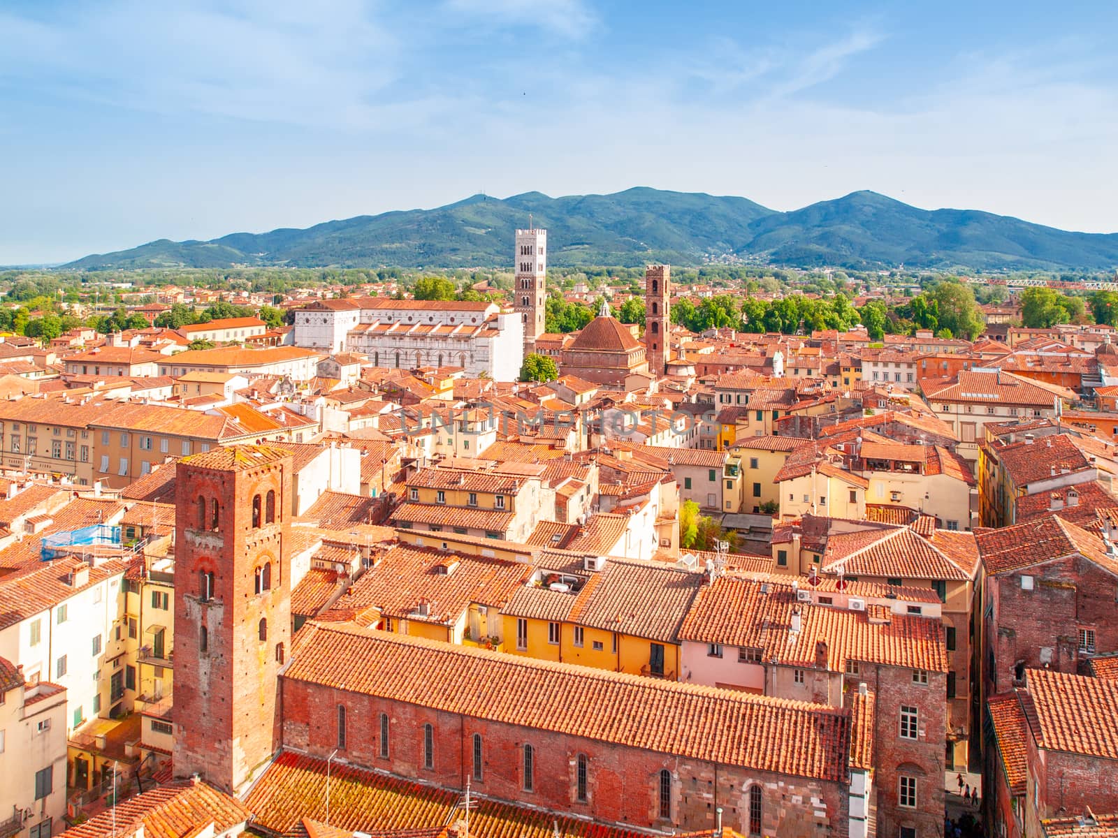 Lucca summer skyline with St Martin Cathedral and bell towers, Tuscany, Italy.