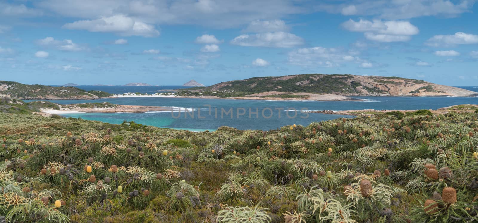 Panoramic view over the Little Wharton Beach on a summer day, one of the most beautiful places in the Cape Le Grand National Park, Western Australia