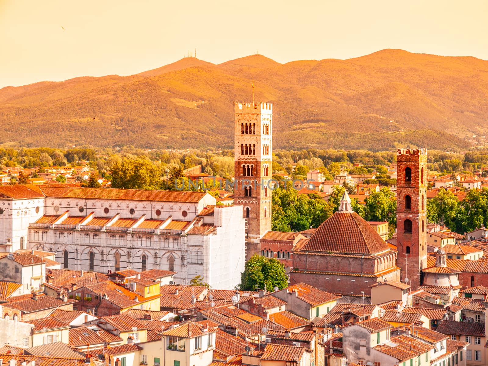 Lucca summer skyline with St Martin Cathedral and bell towers, Tuscany, Italy by pyty