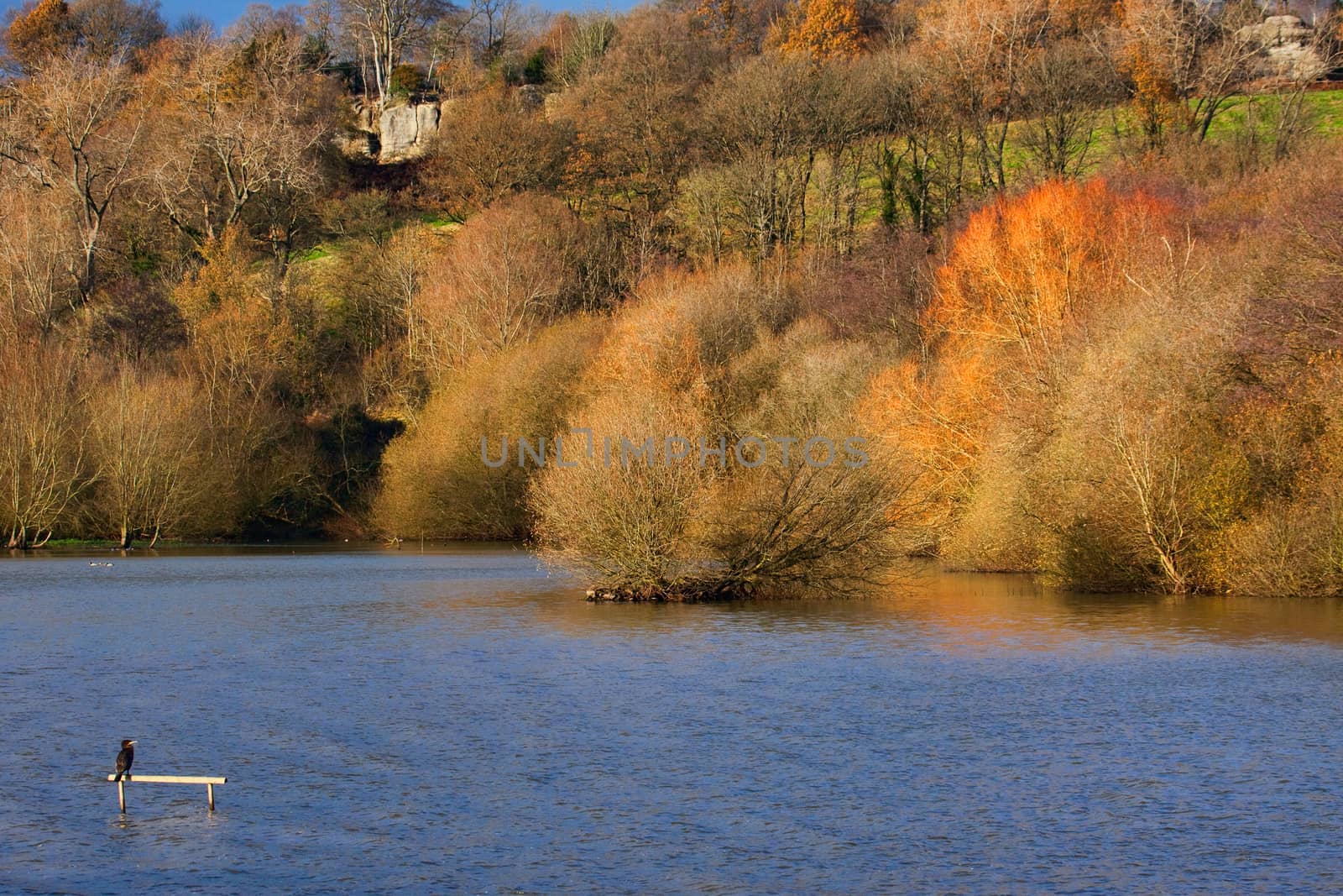 Weir Wood Reservoir by phil_bird