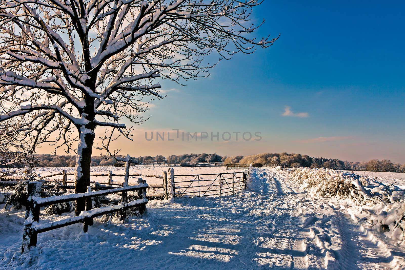 Winter Scene Near East Grinstead by phil_bird