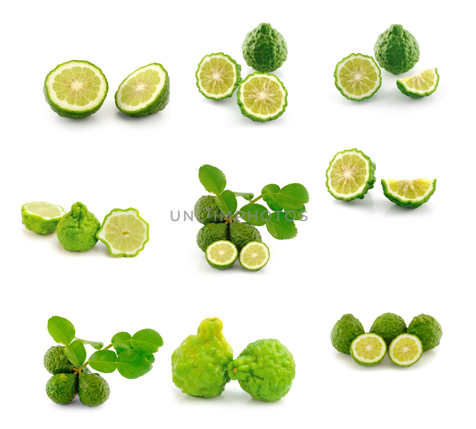 Kaffir Lime  on white background by sommai