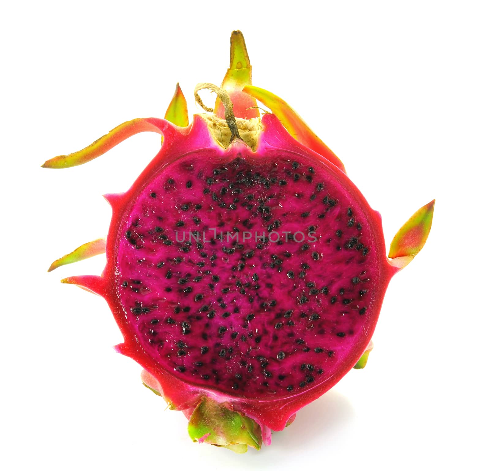 Close up of Dragon fruit on white background with copy space. by sommai