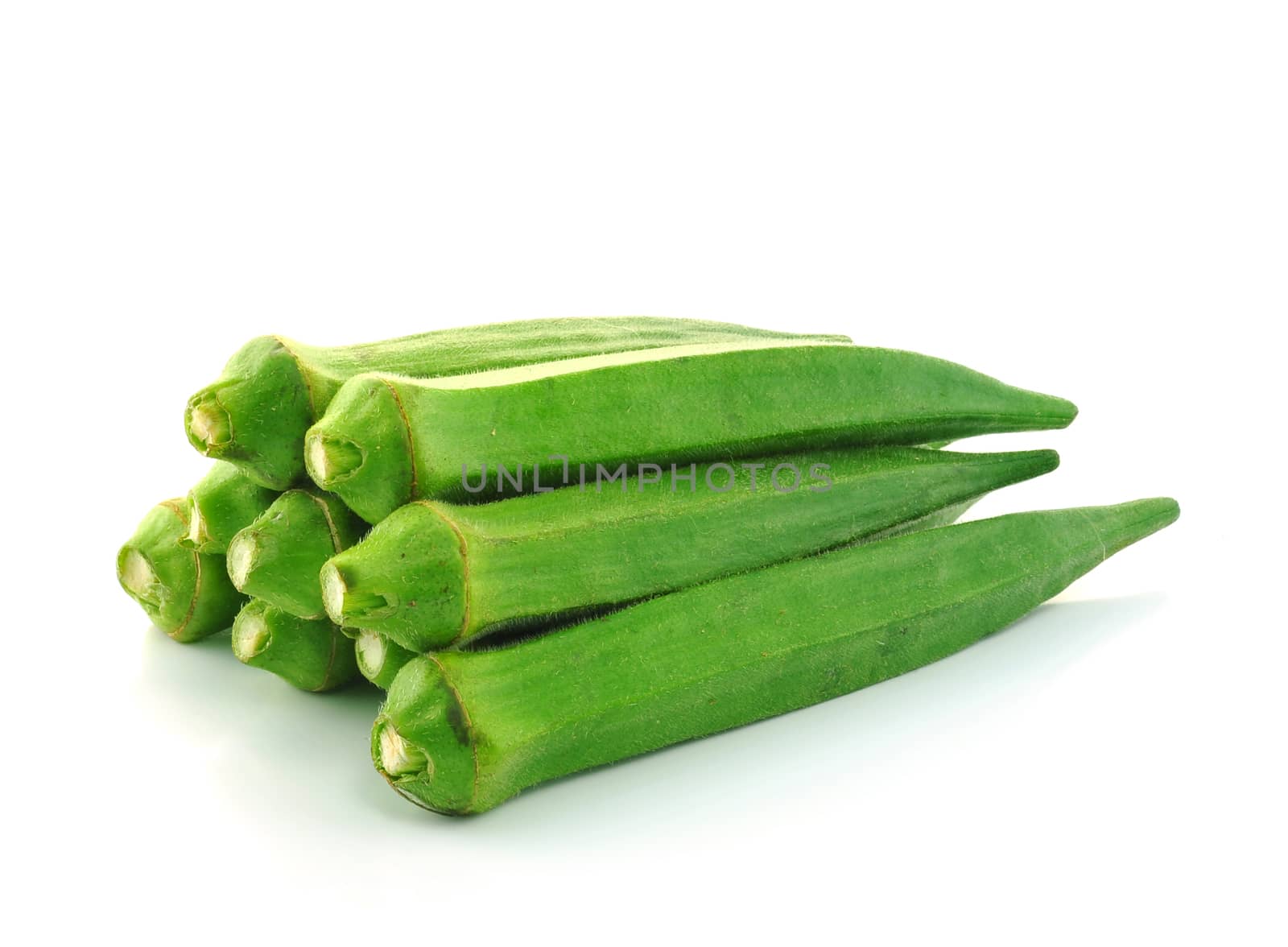 Okras on white background by sommai