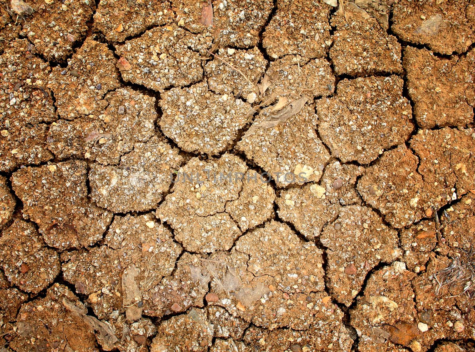 Dry soil texture