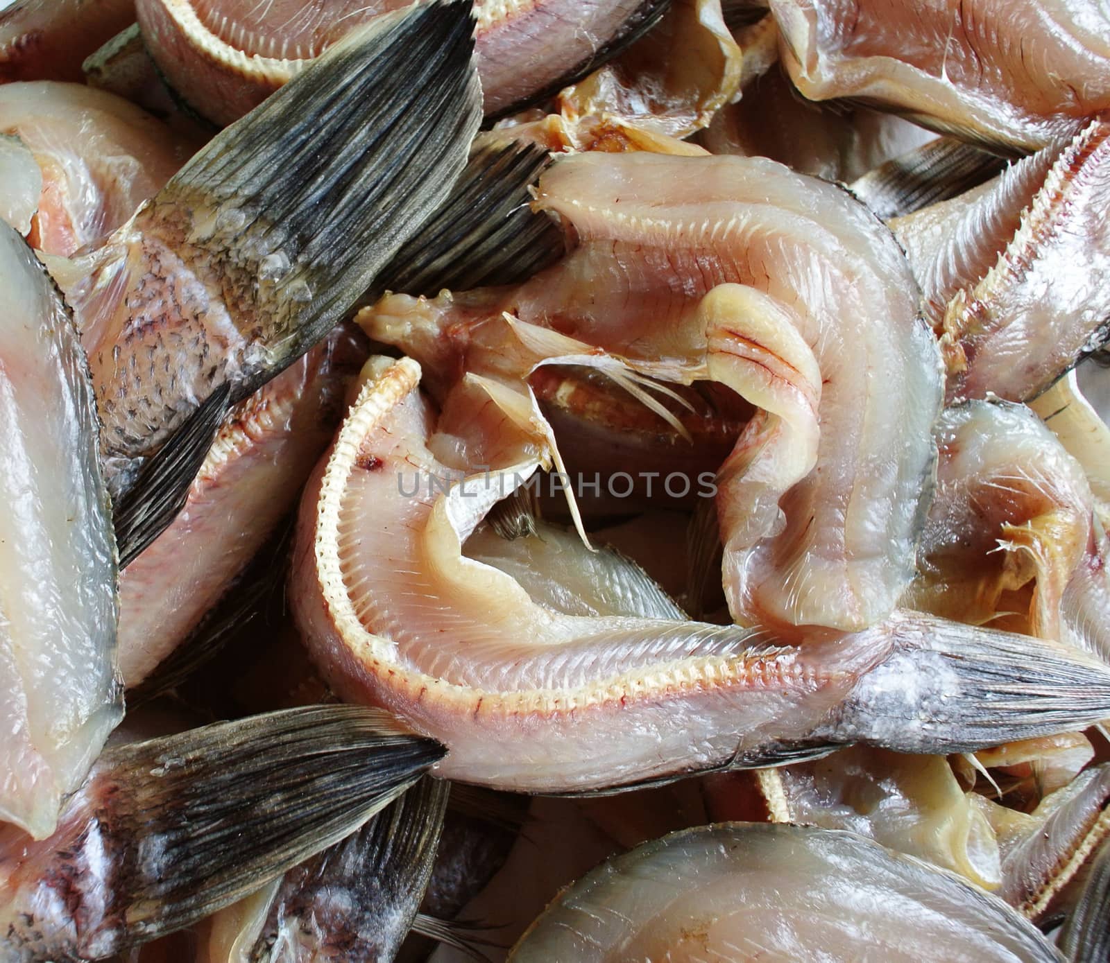 Dried fishes 