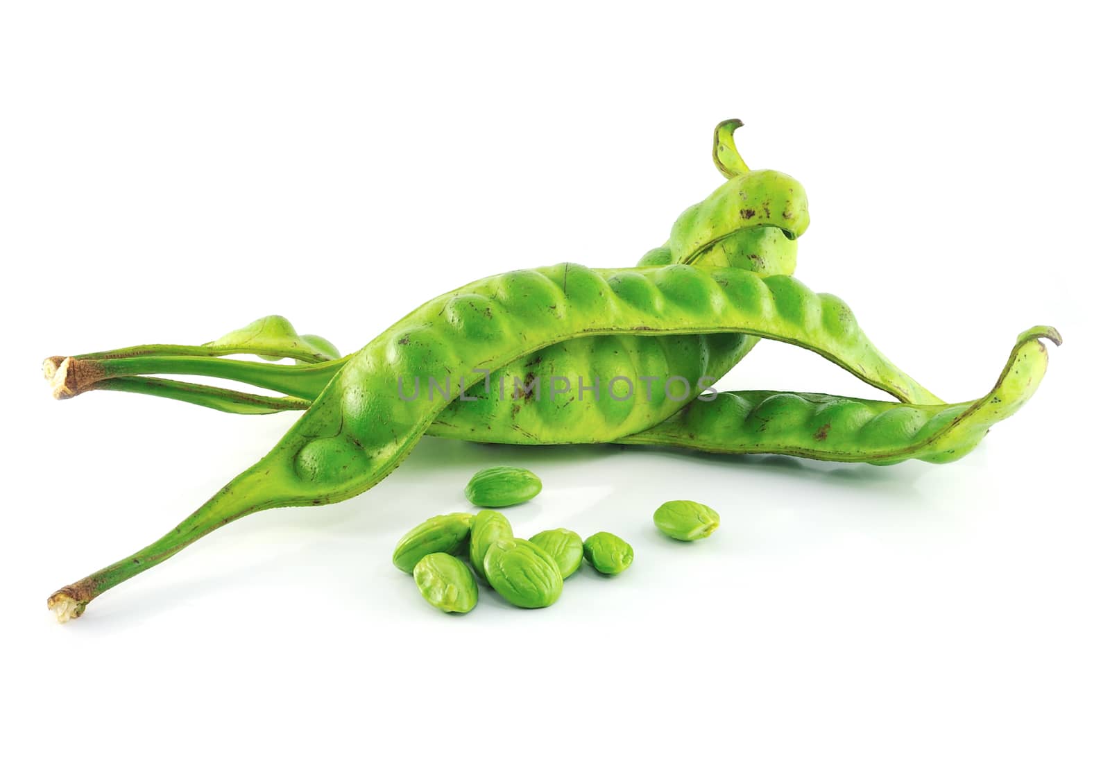 Tropical stinking edible beans on white background (Parkia Speciosa)