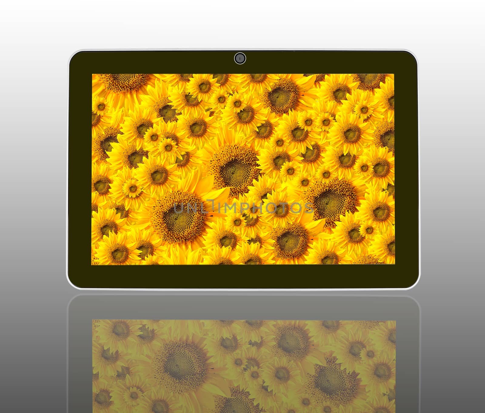 Beautiful sun flowers in theTablet Computer by sommai