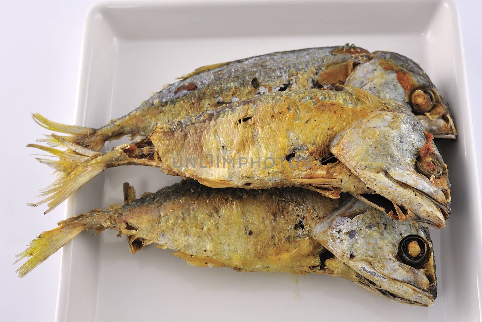  mackerel fish on the white plate