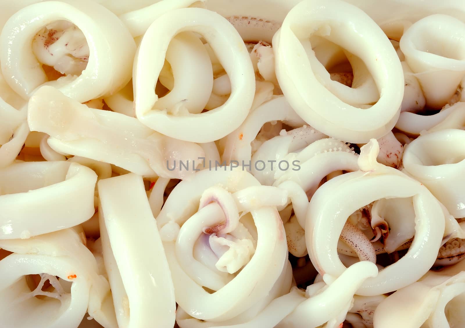 Cut raw calamari rings by sommai
