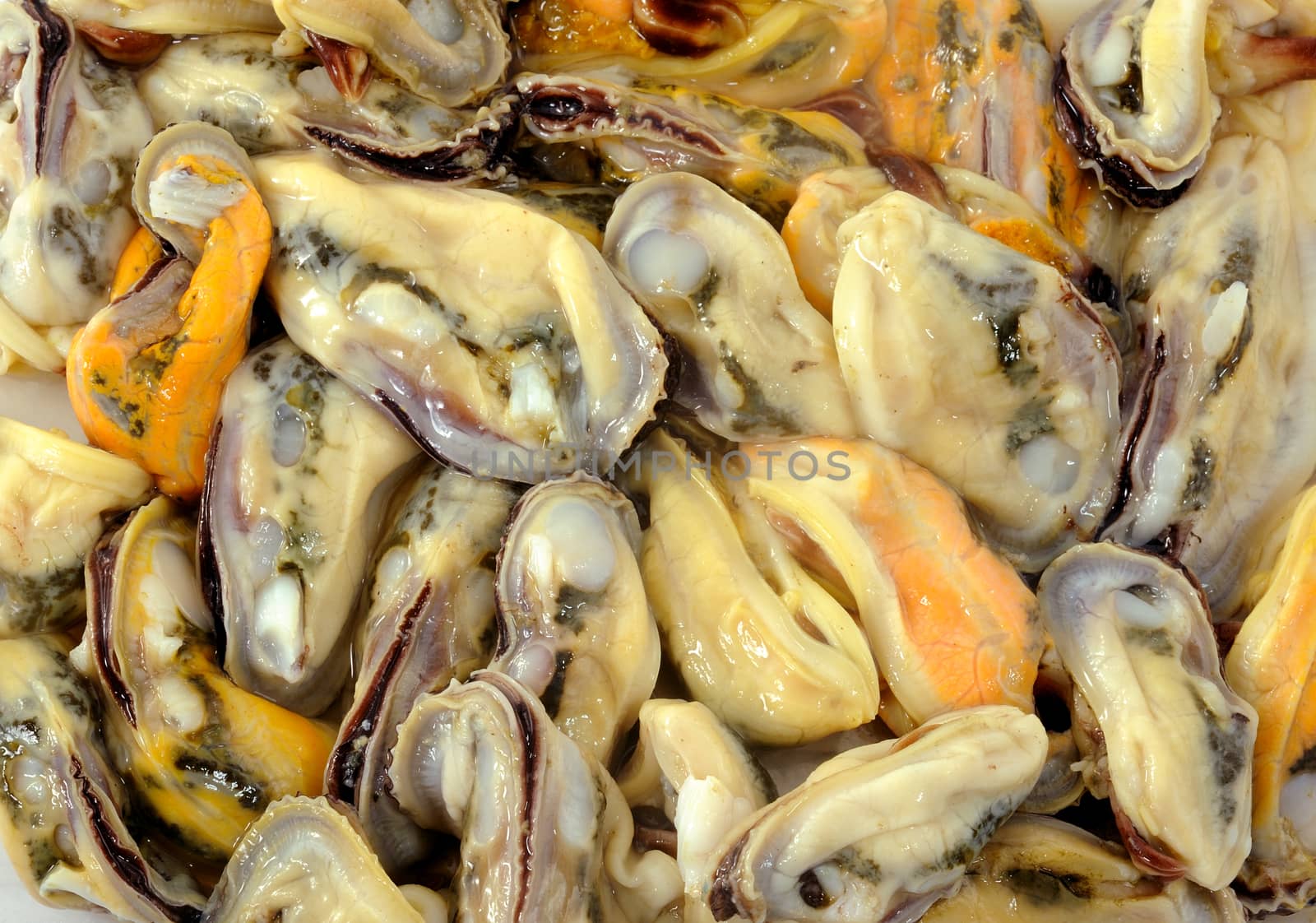 Fresh mussels at the market  by sommai