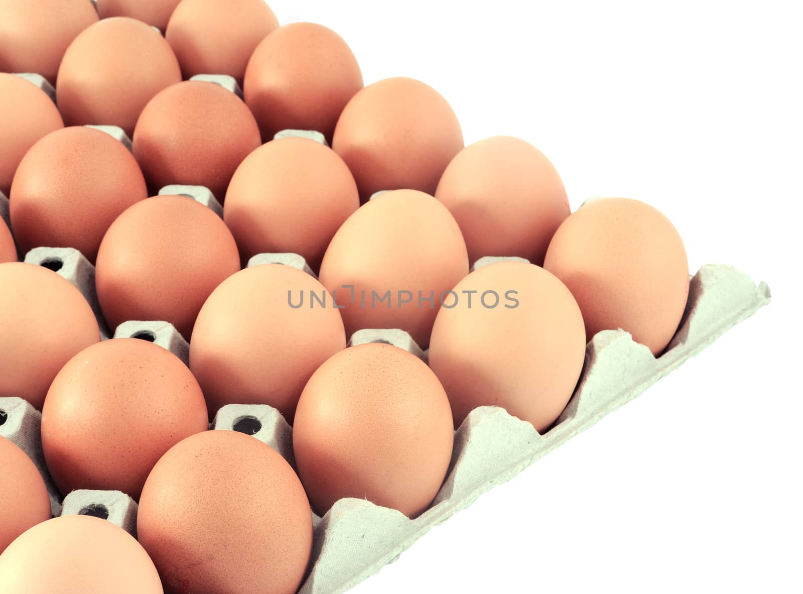 eggs in the package