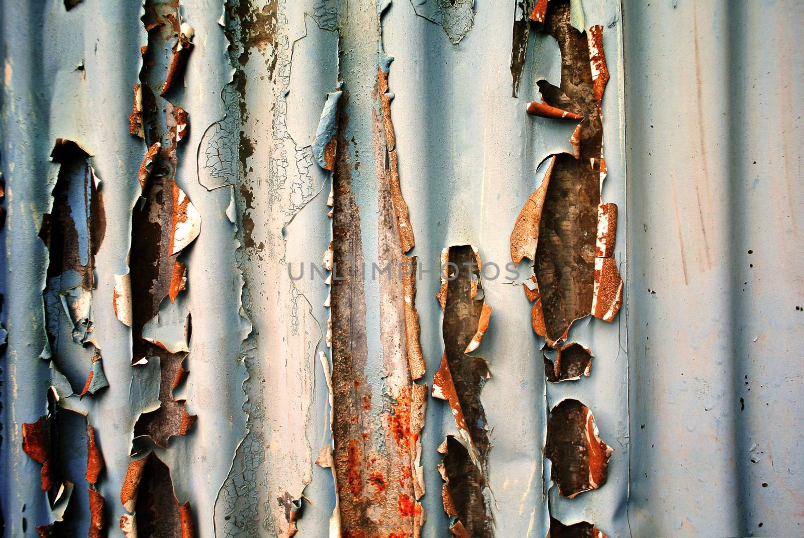 Old zinc sheet Fill with beautiful rust by sommai