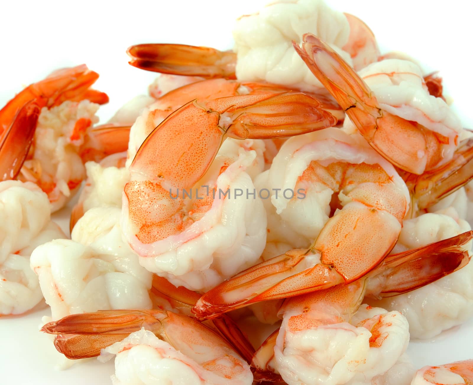  shrimps on a white background by sommai