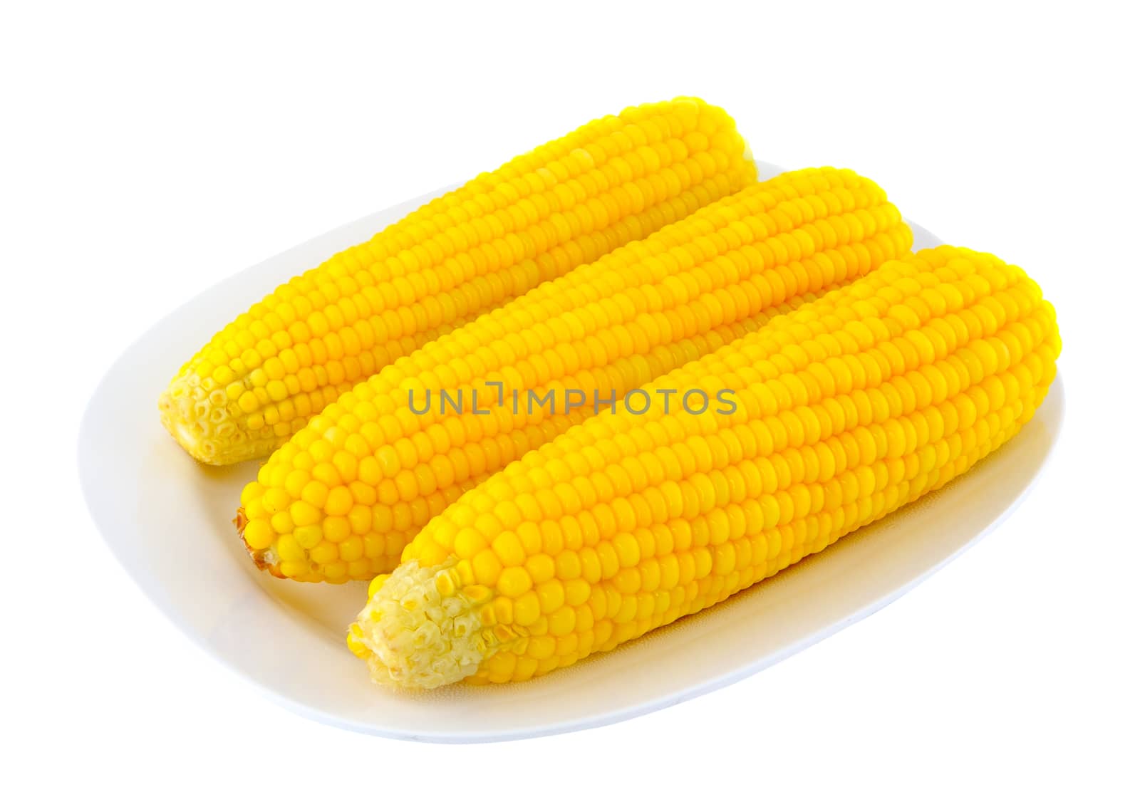 corn on a white plate by sommai